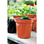 Stewart Plant Pot Terracotta Orange (8in)