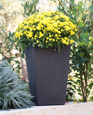 Stewarts Rattan Large Outdoor Garden Planter, Dark Brown