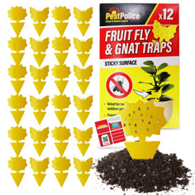 Sticky Fruit Fly and Fungus Gnat Trap 24pk (2x12pk)
