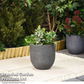 Stone Effect Garden Planter in Grey for Outdoor Patio, Weatherproof Plastic (x1)