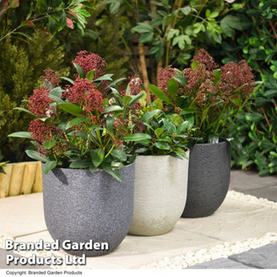 Stone Effect Garden Planter in Grey for Outdoor Patio, Weatherproof Plastic (x3)