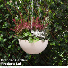 Stone Effect Hanging Basket 25cm Outdoor Garden with Chain Lily White (x1)