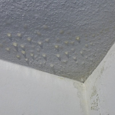 Stonecare4U Anti-Condensation Paint - Smooth Pink (2.5L) Protect From Moisture & Reduce Condensation on Walls & Ceilings