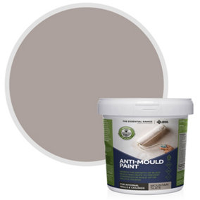 Stonecare4U - Anti-Mould Paint - Mountain Slate (2.5L) Bathroom, Kitchen & Bedroom Walls & Ceilings - Protect Against Mould