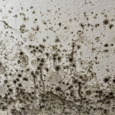 Stonecare4U - Anti-Mould Paint - Natural Flint (2.5L) Bathroom, Kitchen & Bedroom Walls & Ceilings - Protect Against Mould