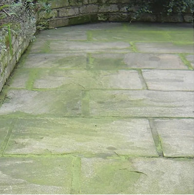 Stonecare4U - Green Away (10L) Organic Growth Killer For Patio, Roof, Drives, Tarmac, Paving, Algae and Mould