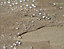 Stonecare4U - Sandstone Sealer Matt (Dry) Finish (15L) - Highly Effective Sealer for Sandstone