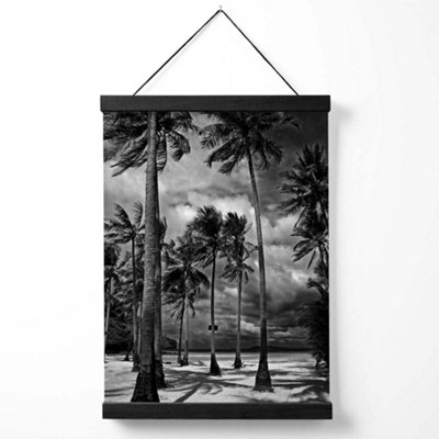 Stormy Palm Trees Black and White Photo Medium Poster with Black Hanger