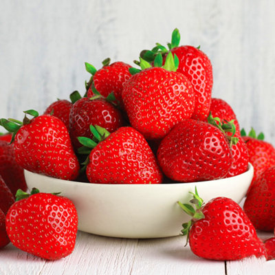 Strawberry Cambridge Favourite Bare Root - Grow Your Own Bareroot, Fresh Fruit Plants, Ideal for UK Gardens (5 Pack)