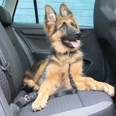 German shepherd seat store belt