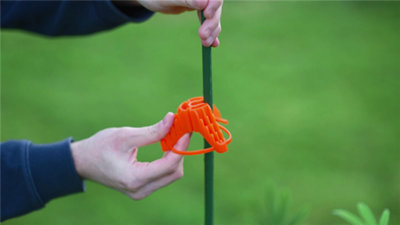 Stringy-Thingy - Plant Support