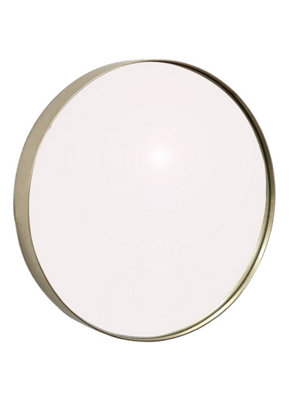 Studio Round Accent Wall Mirror/Vanity Mirror,Antique Champagne Silver,50.5 dia cm