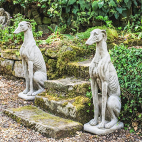 Stunning Pair of Large Sitting Greyhounds Statues