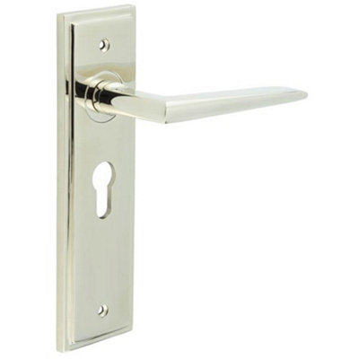 Stylish Polished Nickel Euro Door Handle with Backplate - Solid Brass Interior Handle