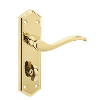 Stylish Suite Door Handle with PVD Brass Finish for Bathrooms - Interior Lever on Backplate