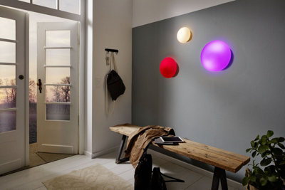 Stylish Wall and Ceiling Light with Opal Matt Shade