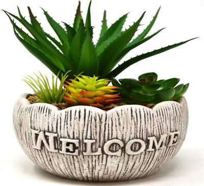 Succulents Plants Indoor Welcome Home Balcony Flowers 18Cm Cactus Decoration