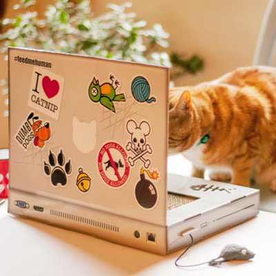 Suck UK Cat Scratch Laptop Multicolor Cardboard