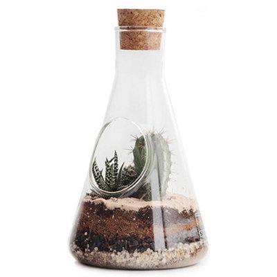 Suck UK Chemistry Terrarium Kit 12 x 22.5cm