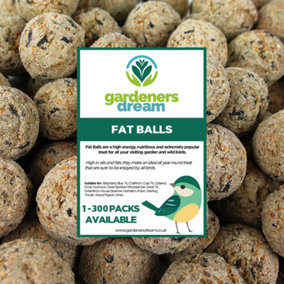 Suet Fat Balls Wild Bird Food (10 Pack)