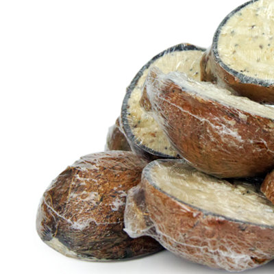 Suet Filled Coconut Halves Wild Bird Food (25 Pack)