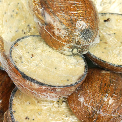 Suet Filled Coconut Halves Wild Bird Food (50 Pack)