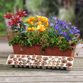 Summer Flowering Balcony Bulb Planter with 38 Pre-Positioned Mixed Bulbs