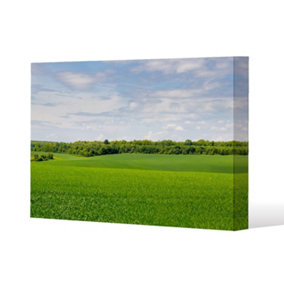 Summer landscape with hilly green field and forest in the distance (Canvas Print) / 101 x 77 x 4cm