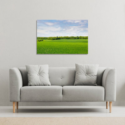 Summer landscape with hilly green field and forest in the distance (Canvas Print) / 127 x 101 x 4cm