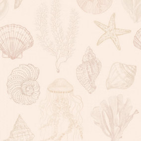 Summer Seashells Wallpaper In Terracotta
