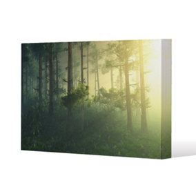 sun, trees in a haze of light, glowing fog among the trees (Canvas Print) / 101 x 77 x 4cm