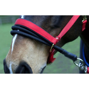 Sundry Ezyloader Horse Head Collar Adapter Black (One Size)