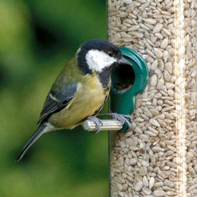 Sunflower Hearts Wild Bird Food (2.5L) - 5