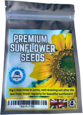 Sunflower Pack Giant Single Yellow -  Tall for Planting UK Grow Your Own School Garden Flowers 200 Seed