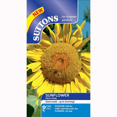 Sunflower Pikes Peak 1 Seed Packet (15 Seeds)