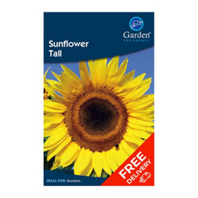 Sunflower Tall (Helianthus annuus giganteus)