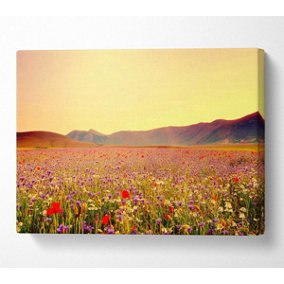 Sunny Field Of Beautiful Wild Flowers Canvas Print Wall Art - Medium 20 x 32 Inches