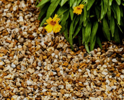 Sunshine Blend Gravel 6-10 mm- 25 Bags (500kg)