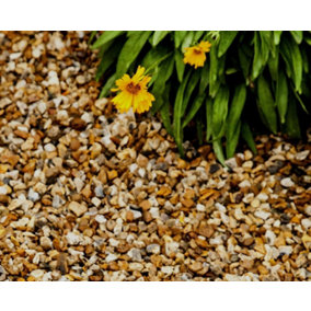 Sunshine Blend Gravel 6-10 mm- 50 Bags (1000kg)