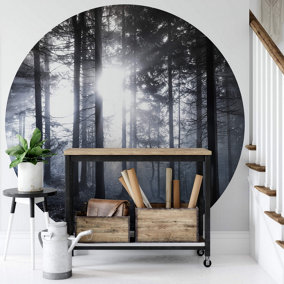 Sunshine in the woods Wall Mural 144cm x 144cm