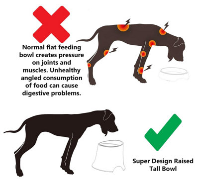 SUPER DESIGN Raised Pet Dog Food Feeding Bowl Elevated Station Tall Large 900ml