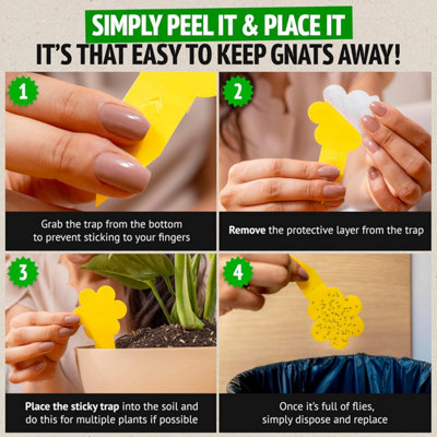 Super Ninja Fungus Gnat Killer - 30 Traps - Highly Effective and ...