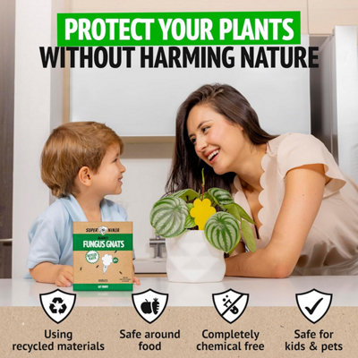 Super Ninja Fungus Gnat Killer - 60 Traps - Highly Effective and ...