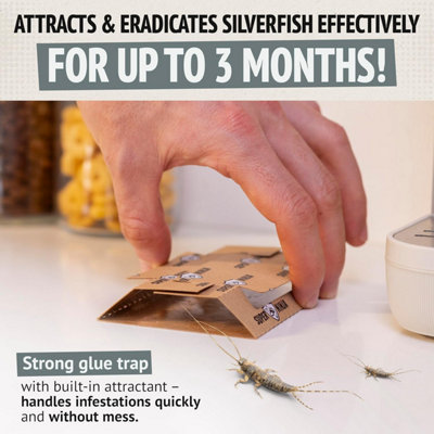 thumbnail image 2 of Trapper LTD Insect Traps 72-Pack - Sticky Traps For Roaches, Spiders, Silverfish, Scorpions 2 of 6