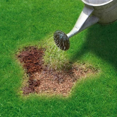 Super Patch Grass Seed With Fertiliser Chatsworth Lawn Repair Coir Mix 600g