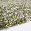 Super Soft Green Grey Mottled Shaggy Area Rug 120x170cm