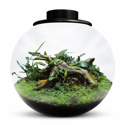 superfish-bioart-bowl-225-black-nano-garden-5-1l-led-plant-terrarium-dome