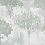 Superfresco Easy Birch Forest Sage Wallpaper