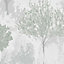 Superfresco Easy Birch Forest Sage Wallpaper