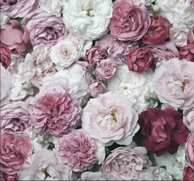 Superfresco Easy Blush Bouquet  Print To Order Fixed Size Mural